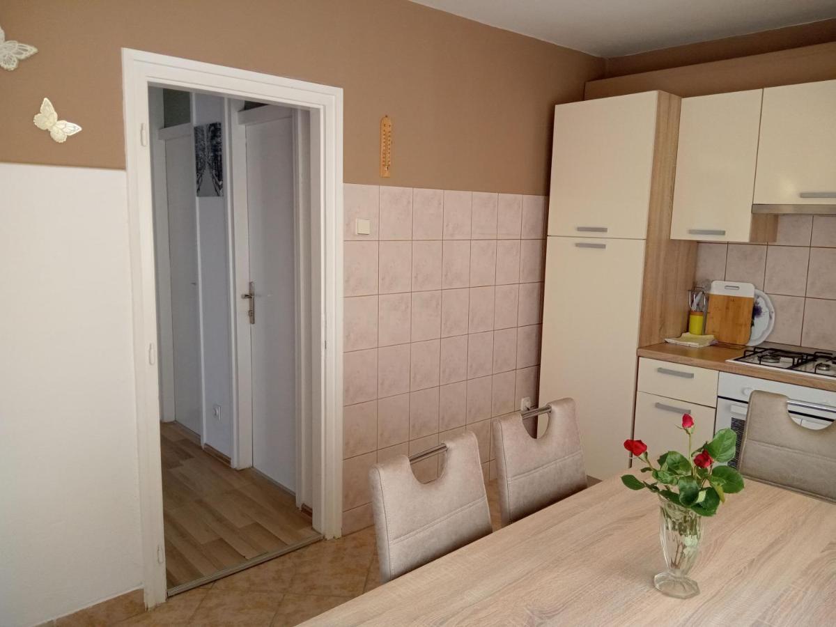 Appartamento Apartman Tomic Korenica Esterno foto